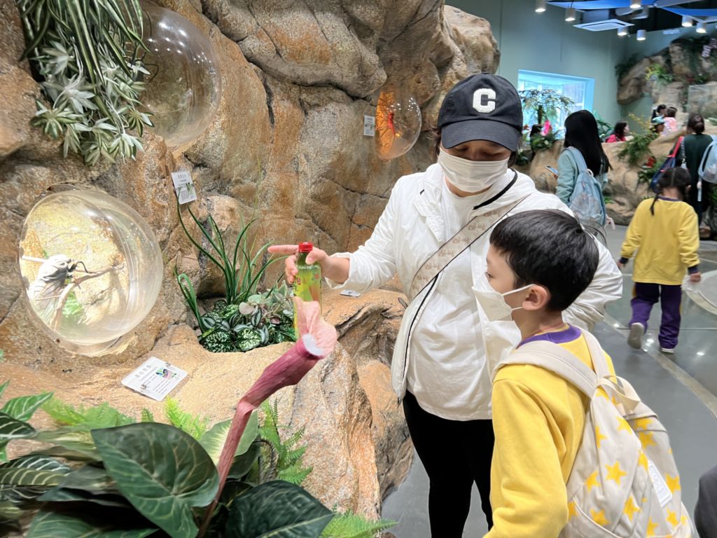 2024-02-06  [學校旅行日(一年級)] 25/28