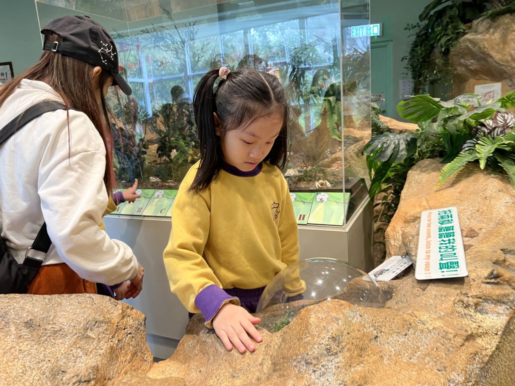 2024-02-06  [學校旅行日(一年級)] 26/28